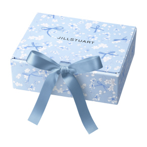 プレゼントボックス（サムシングピュアブルー20）