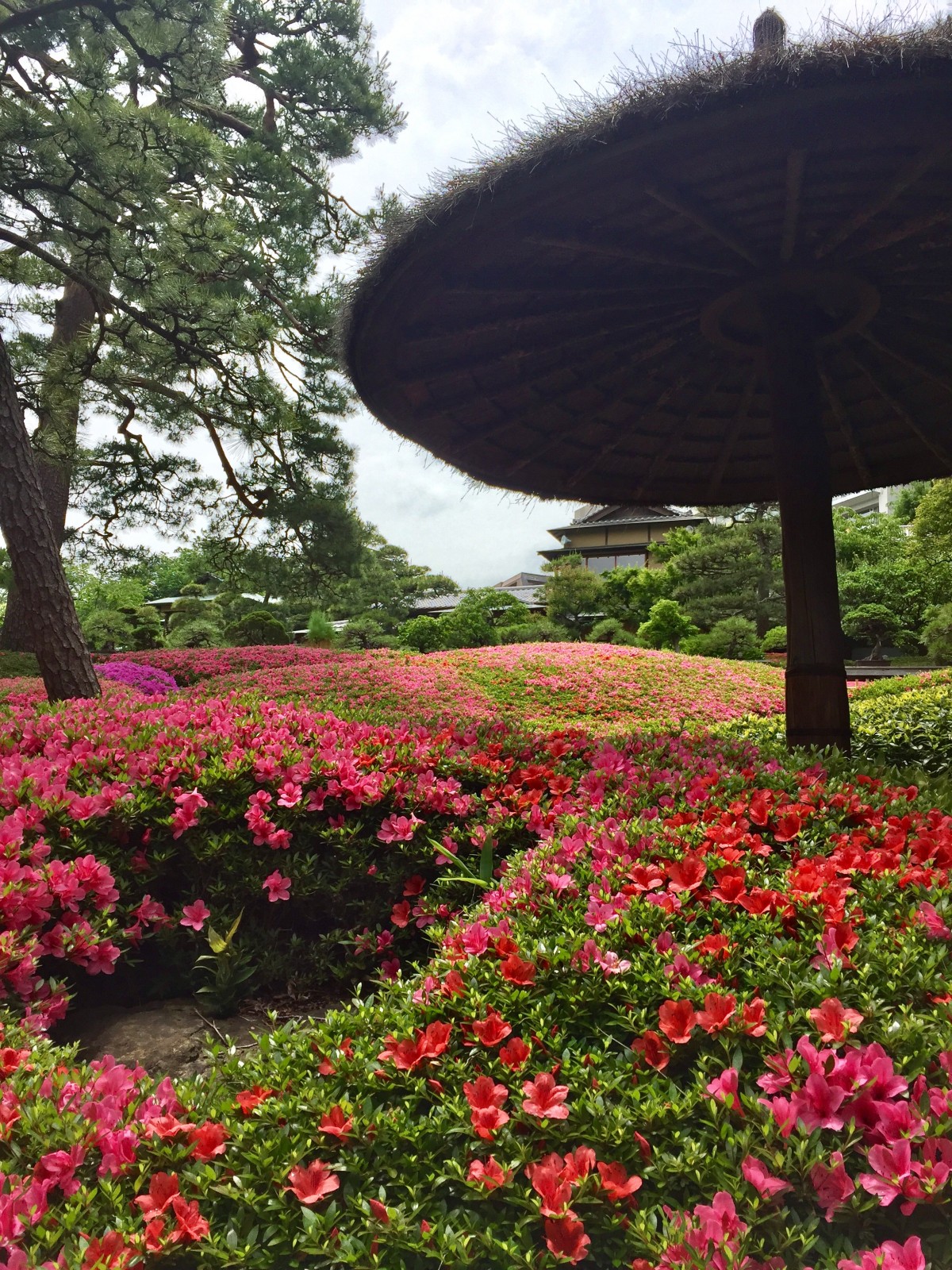 Image title Image title