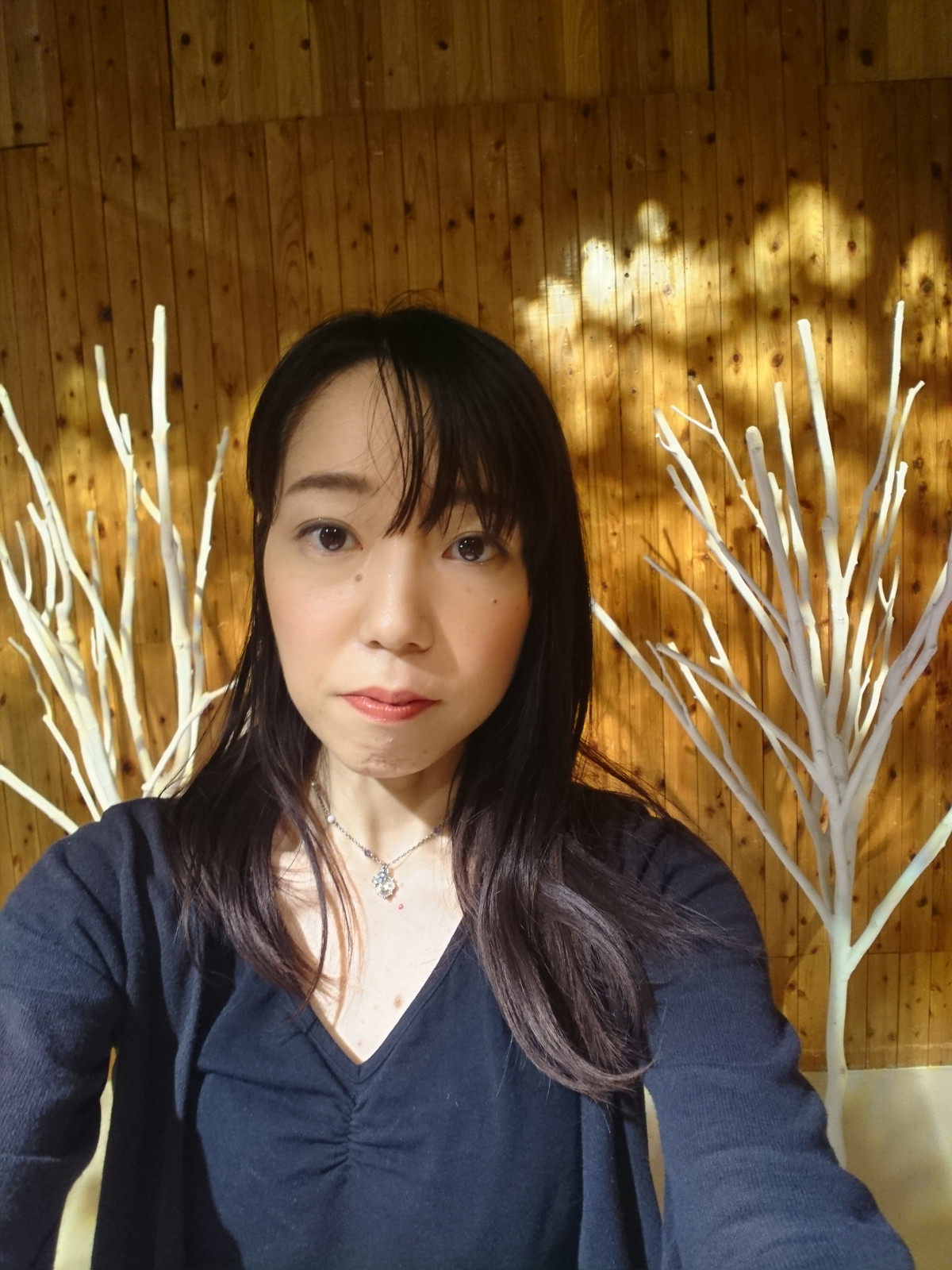 Image title Image title