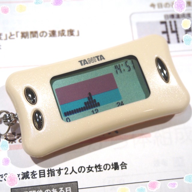 早速ウォーキング実践★カロリズムとともに♪