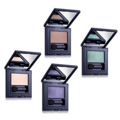 エスティ ローダー(ESTEE LAUDER) ピュア カラー エンヴィ アイシャドウ