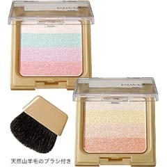 エクセル グラデーションパウダー Ｎ