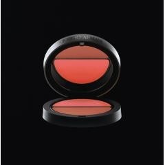 ジョルジオ アルマーニ ブレンディングブラッシュ デュオ